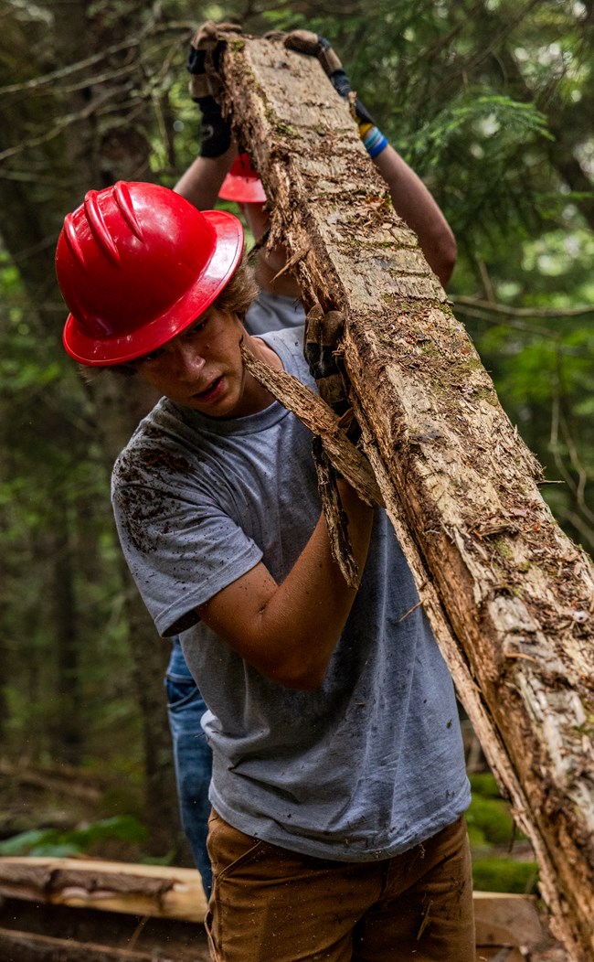 Boy in work clothes and red hard hat lifts a large log