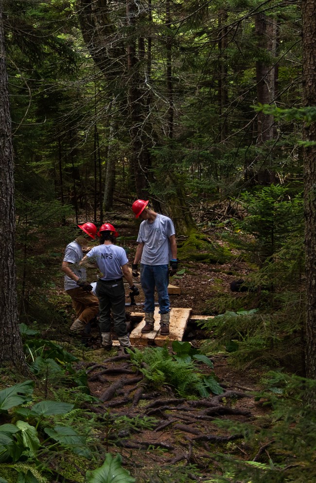 Three young workers in uniform and red hard hats work on a log bridge in a heavily forested area