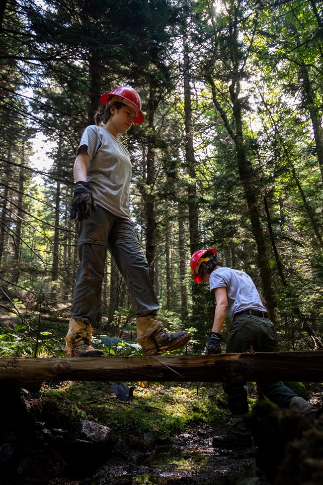 Two women in work clothes and red hard hats work on a log crossing of a stream