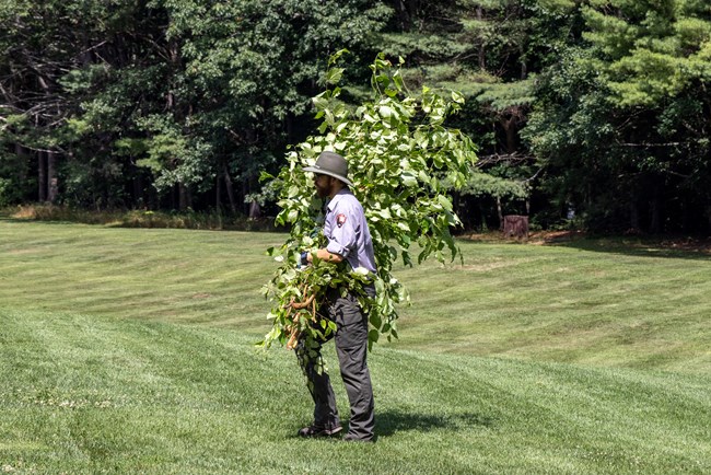 Maintenance worker carries brush