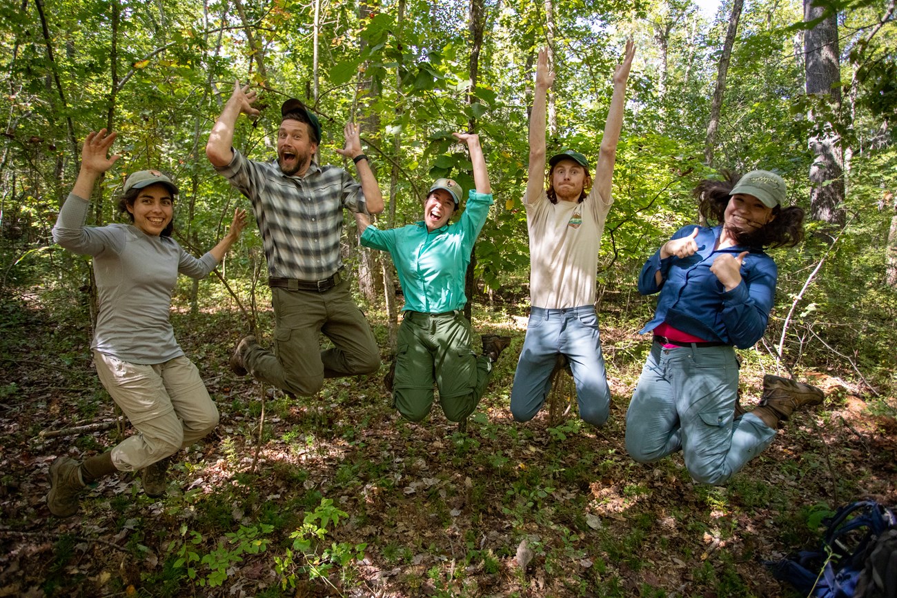 Five field crew members leap for joy with their arms in the air in a sun-dappled forest.