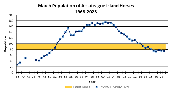 Horse population growth on Assateague Island National Seashore, 1968-2023. Blue line - horse population, orange bar – target population range of 80-100 individuals, blank space - unavailable data.
