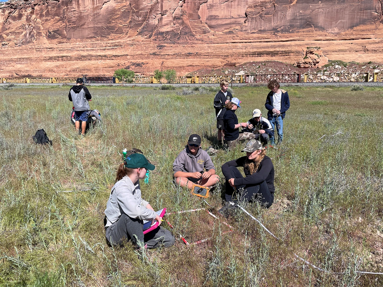 Collecting data Groups of students sitting or standing in green vegetation against a backdrop of red-rock canyon walls.