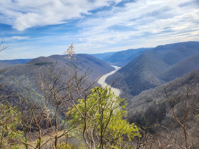A view of the New River Gorge. The brown river runs through the gorge, with trees surrounding it and a blue-white sky.