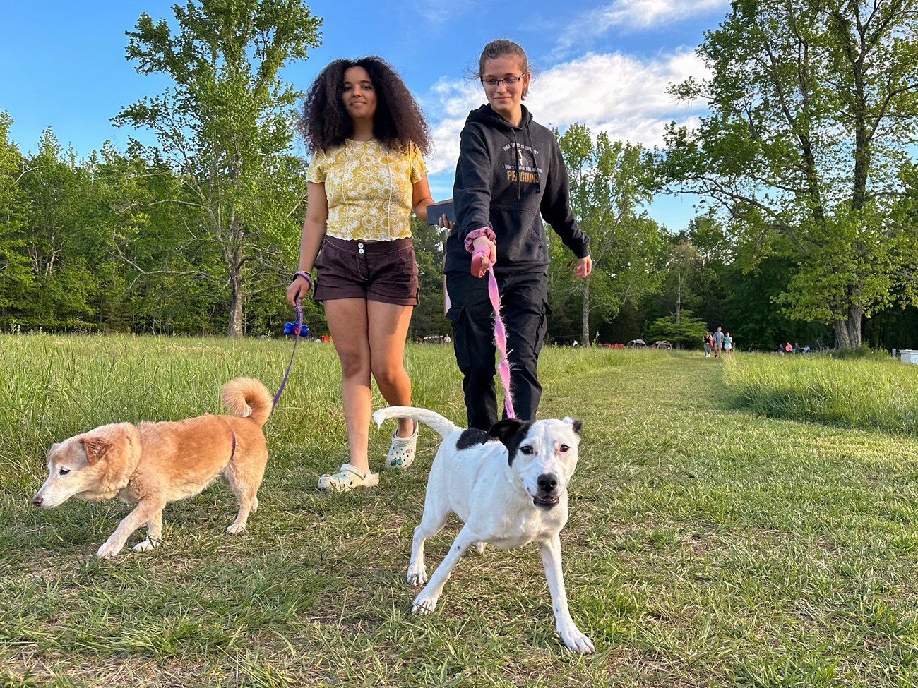 Two girls walking two dogs along a battlefield trail.