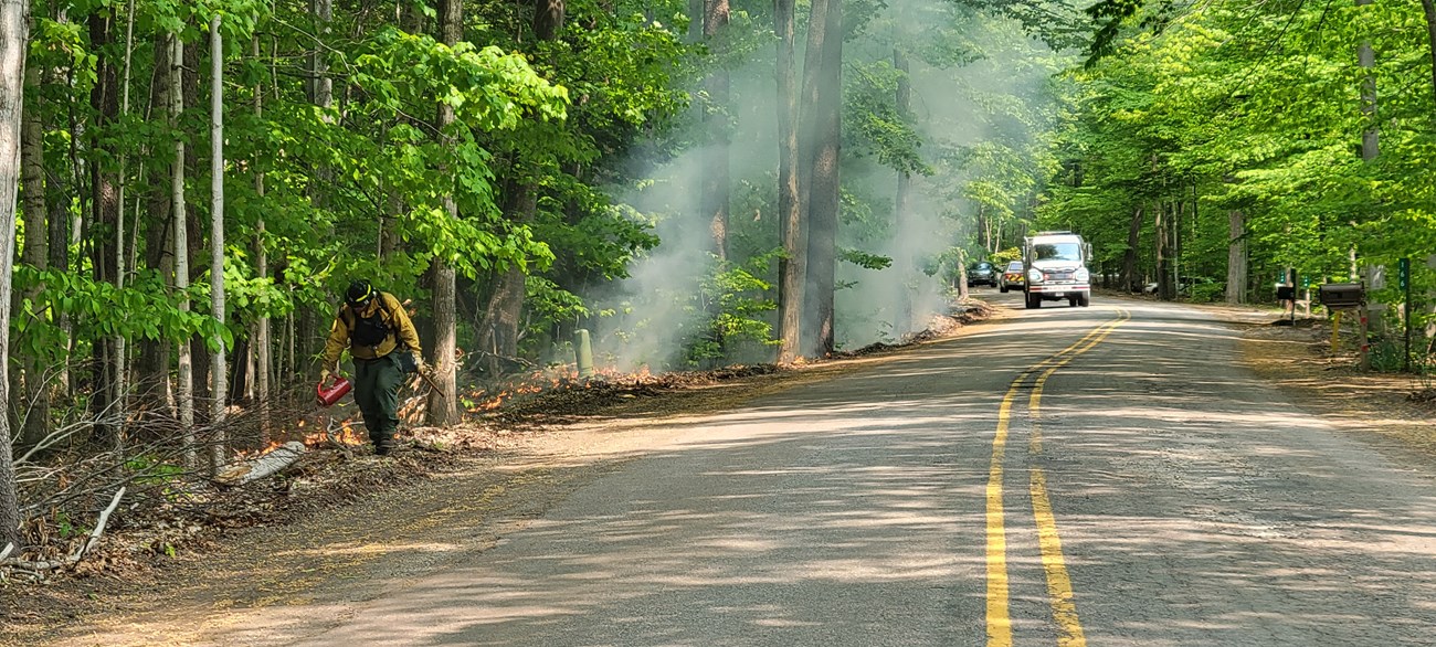 Lighting along the road A wildland firefighter using a drip torch walks along the side of the road igniting leaves and brush on the ground with a large white firetruck following behind.