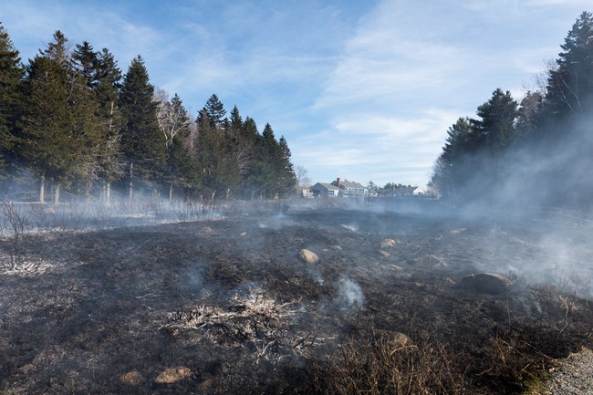 Aftermath of a successful prescribed burn at Jordan Pond House on April 27th, 2024. A field of smoldering grasses immediately following a prescribed burn near Jordan Pond House