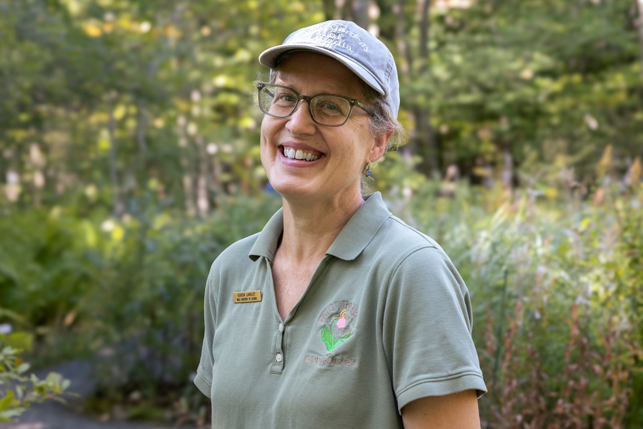 Geneva Langley, Supervisory Gardener, working in the Wild Gardens of Acadia. Woman smiles while standing in a wild garden.