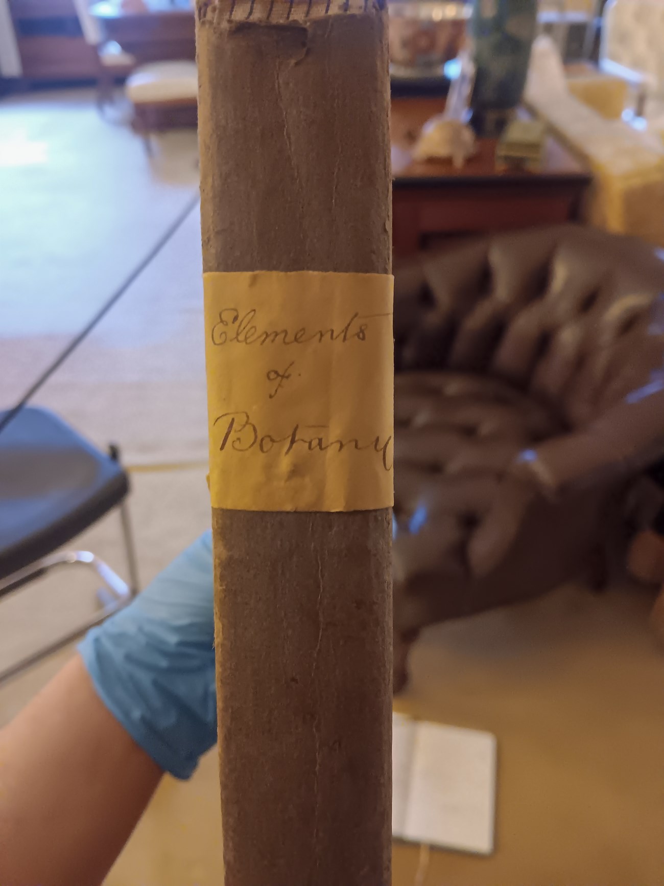Elements of Botany spine of book with handwritten title "elements of botany"