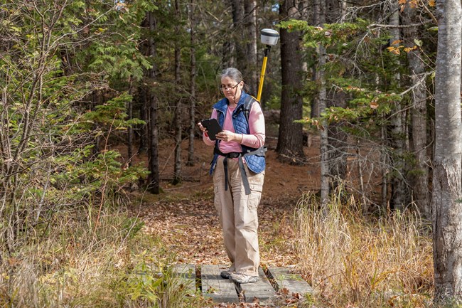 Karen using a GNSS device to record the location of a small footbridge along with other database information when updating a park map. Woman using mapping equipment in a backpack when mapping a small footbridge on a trail in the park