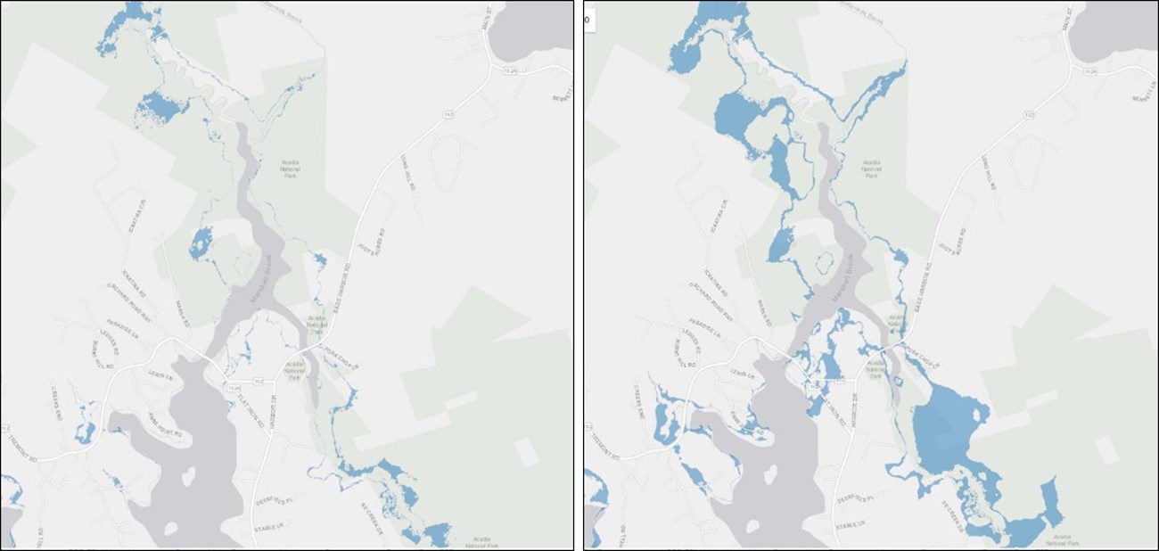 2024_sweetgrass_ea_img_fig6 Figure 6. Maine NAP – Potential Tidal Marsh Migration 1ft Sea Level Rise compared to 3ft Sea Level Rise near Bass Harbor.