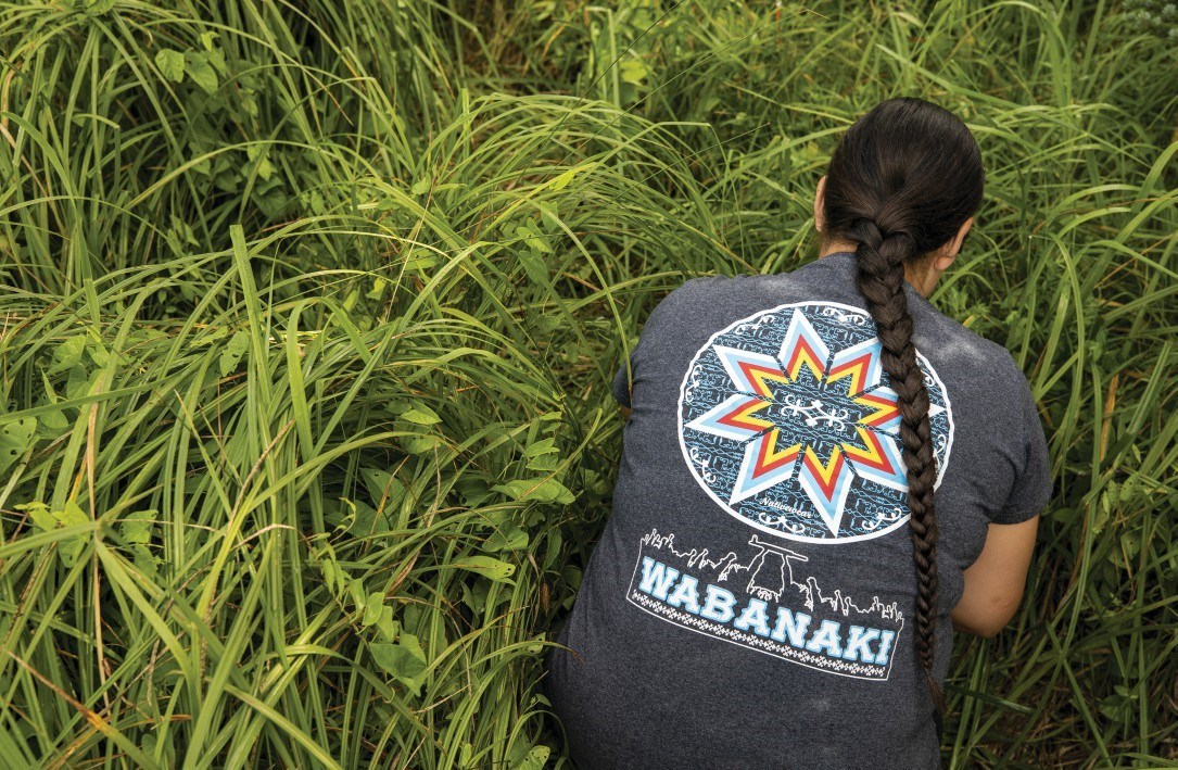 Member of the Wabanaki Nations harvests sweetgrass in Bass Harbor Marsh for traditional uses. Member of the Wabanaki Nations harvests sweetgrass in Bass Harbor Marsh for traditional uses.