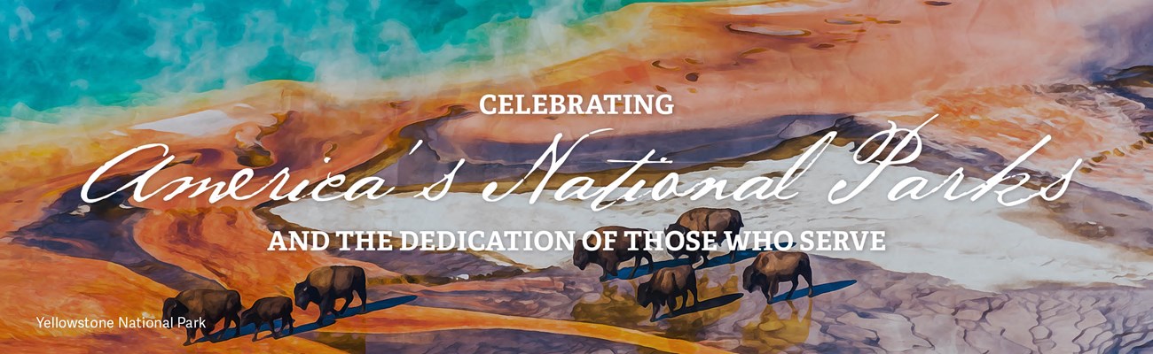 A graphic of bison next to a hydrothermal feature and text "Celebrating America's National Parks and the Dedication of Those Who Serve."
