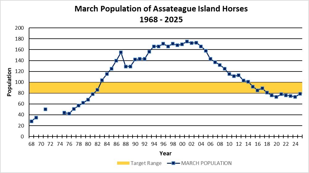 2025 Horse population graph Horse population growth on Assateague Island National Seashore, 1968-2025. Blue line - horse population, orange bar – target population range of 80-100 individuals, blank space - unavailable data.