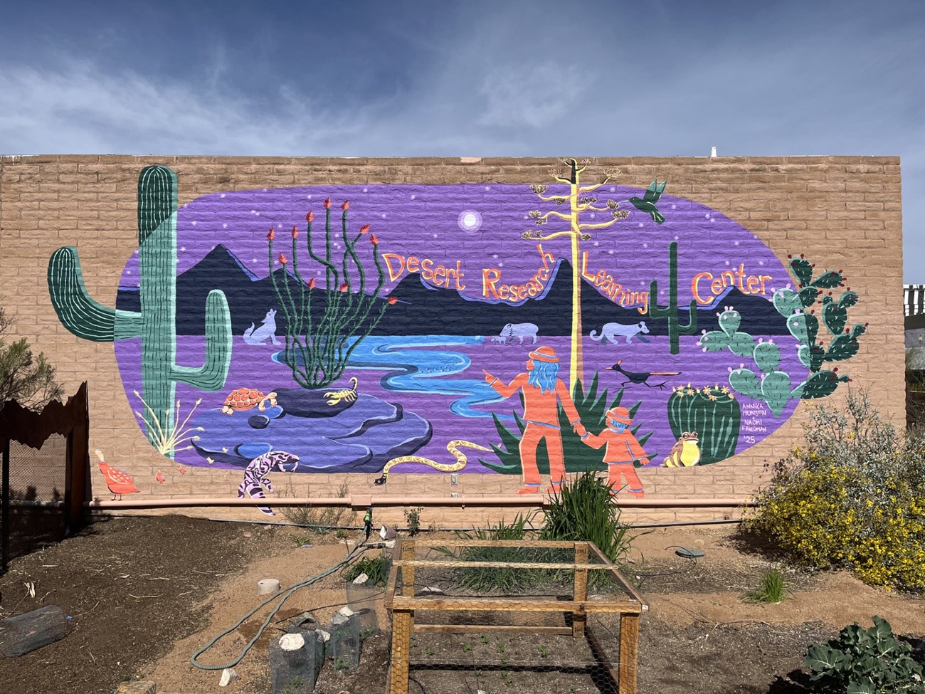 Mural A 300 square foot mural on an orange brick wall. The mural has a purple background and depicts a desert scene of animals and hikers at night.