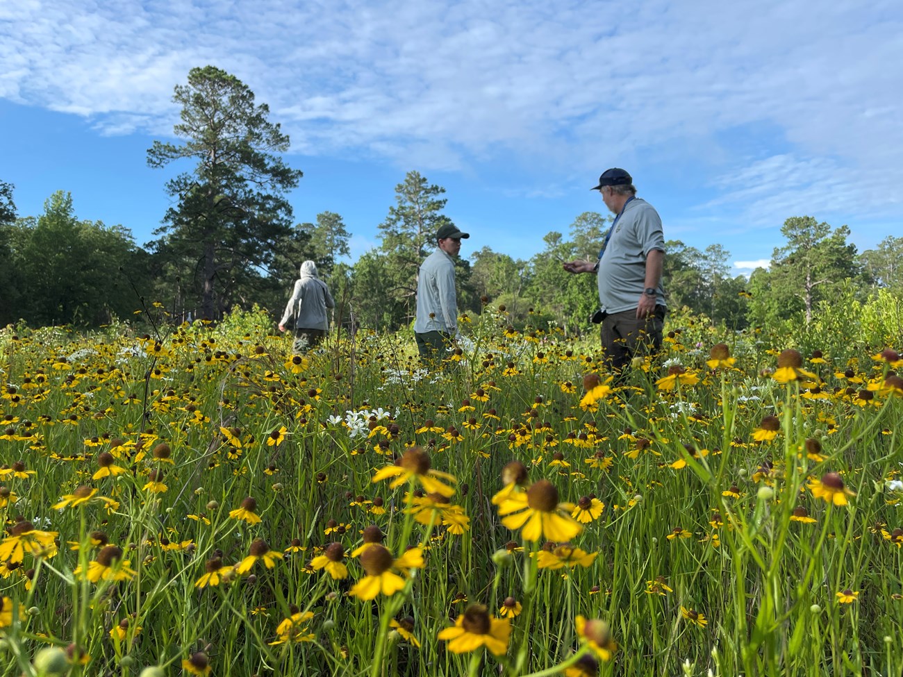 Three people standing in a field of wildflowers