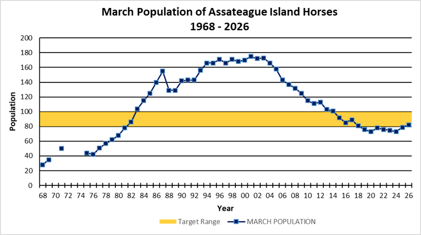 Horse population growth on Assateague Island National Seashore, 1968-2026. Blue line - horse population, orange bar – target population range of 80-100 individuals, blank space - unavailable data