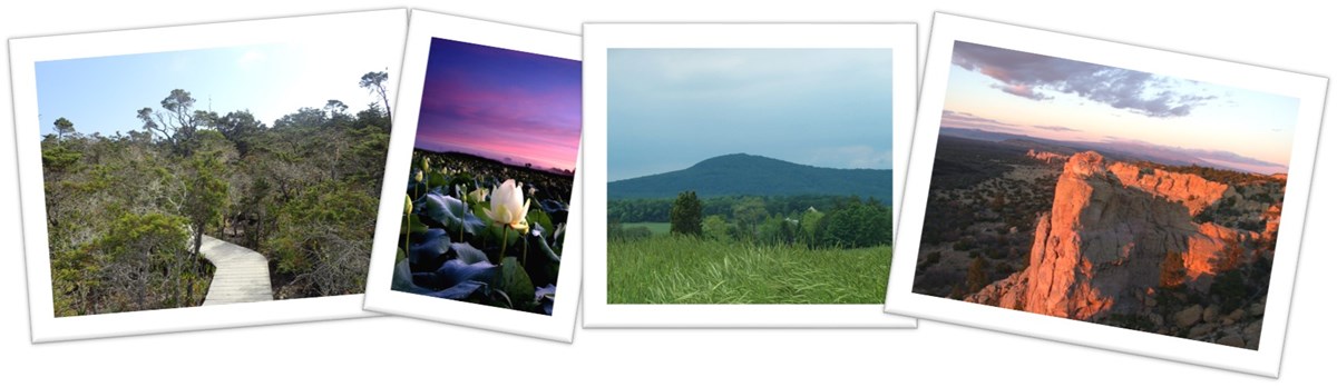 20_50th anniv NNLs collage of photos of different natural places