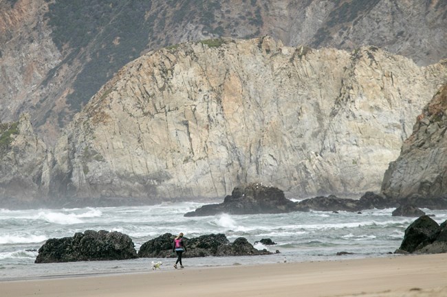 A couple walks their dog on leash at the water's edge.