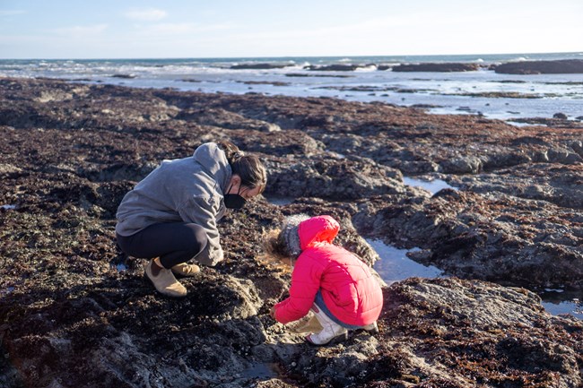A woman and a child bend down over a rocky tidepool.