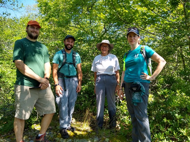 Four people standing in forest