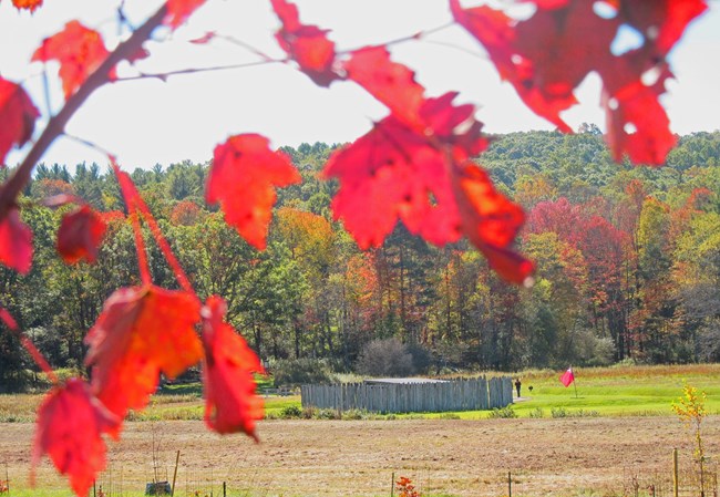 Fall foliage with the Great Meadows in the background Fall foliage with the Great Meadows in the background