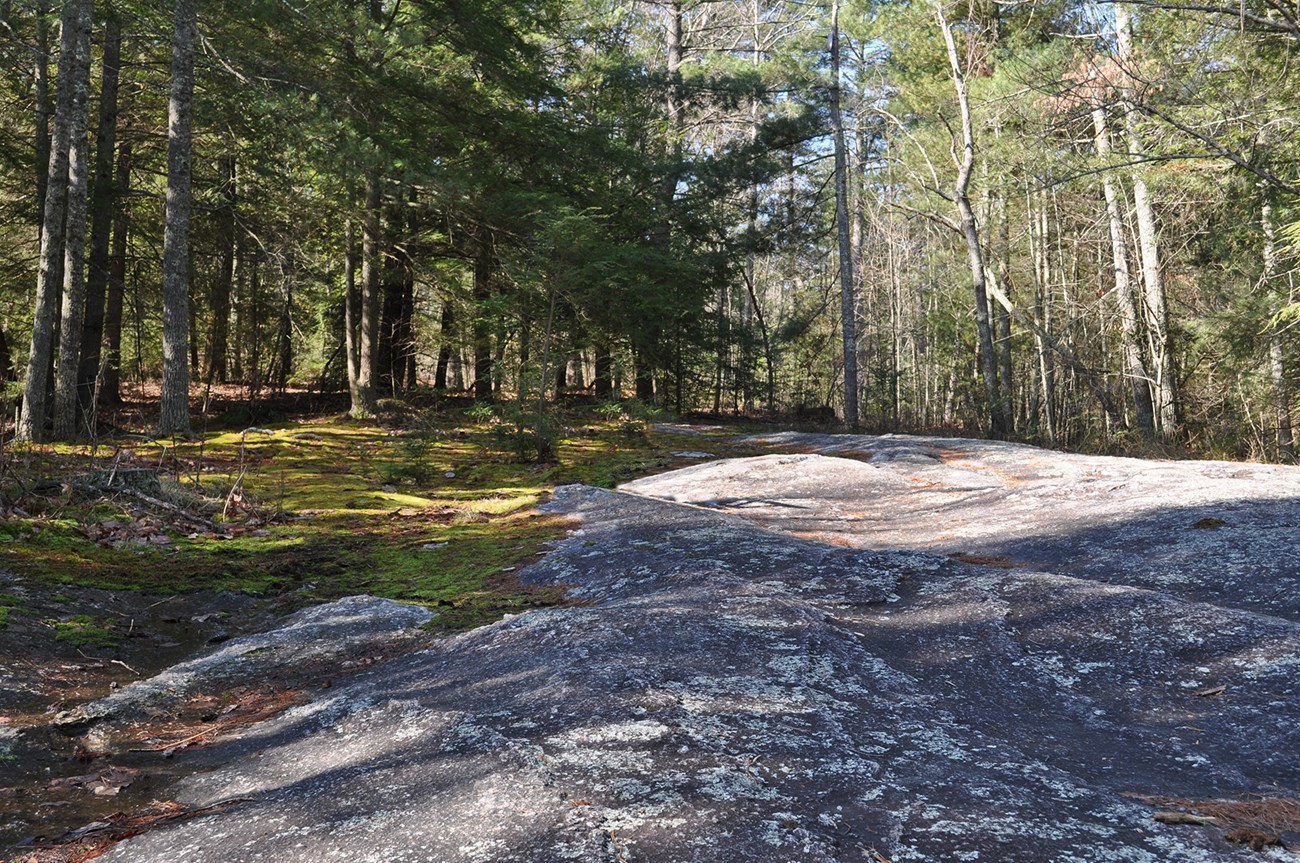 A large flat exposed rock surface a large flat exposed rock surface surrounded by trees