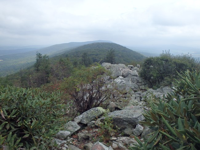 Mountain top with plants and rocks