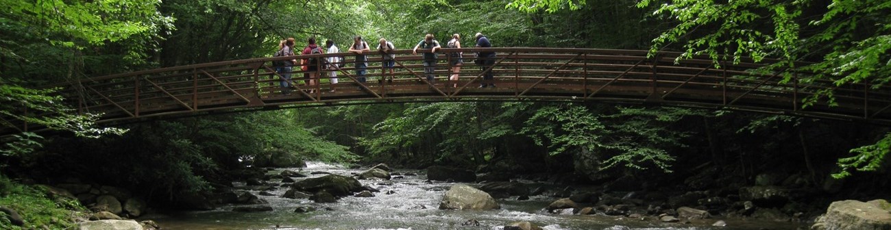 Several people using a footbridge across a stream and looking down into the water.
