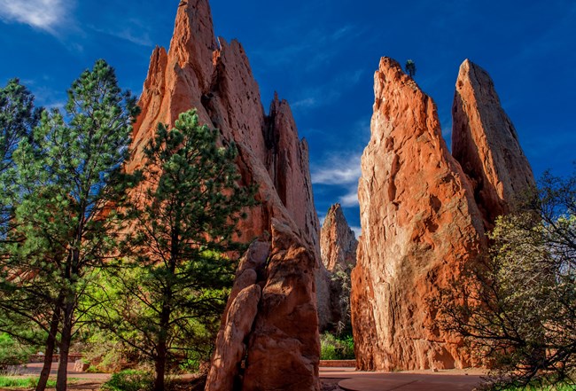 Tall jagged rocks with pine trees