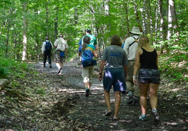 Group of hikers walk on trail