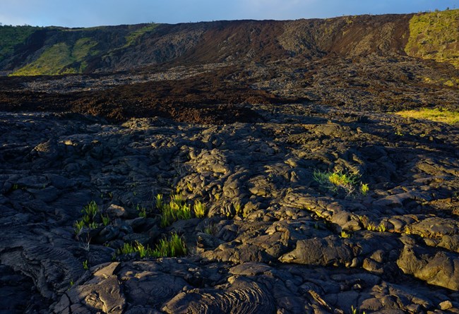 A cliff covered in volcanic lava flows.