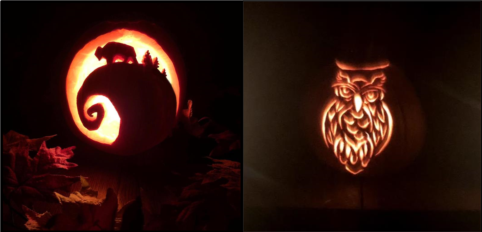 A jack o' lantern carved with a bison on a hill and another carved as an owl