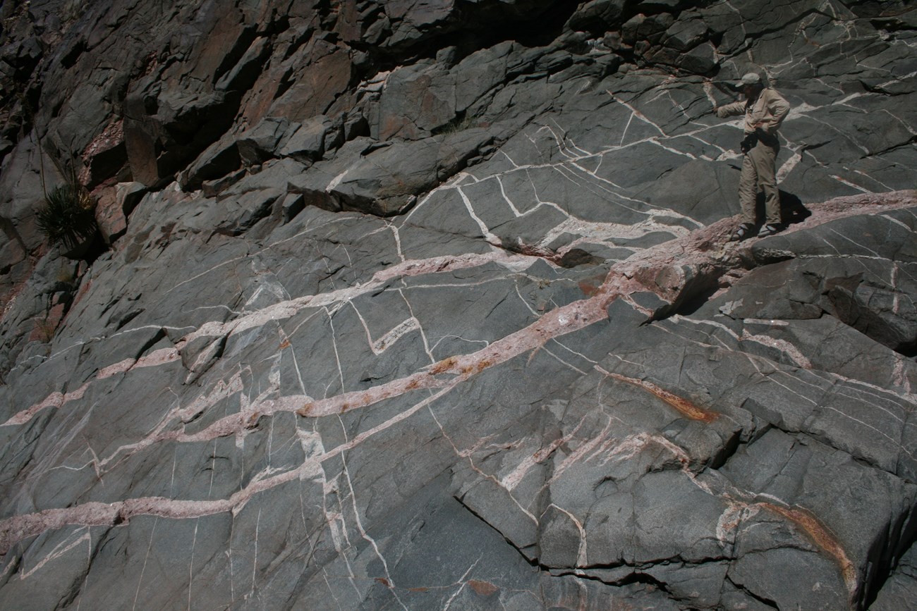 Photo of a rock outcrop with bands of dark and light minerals.