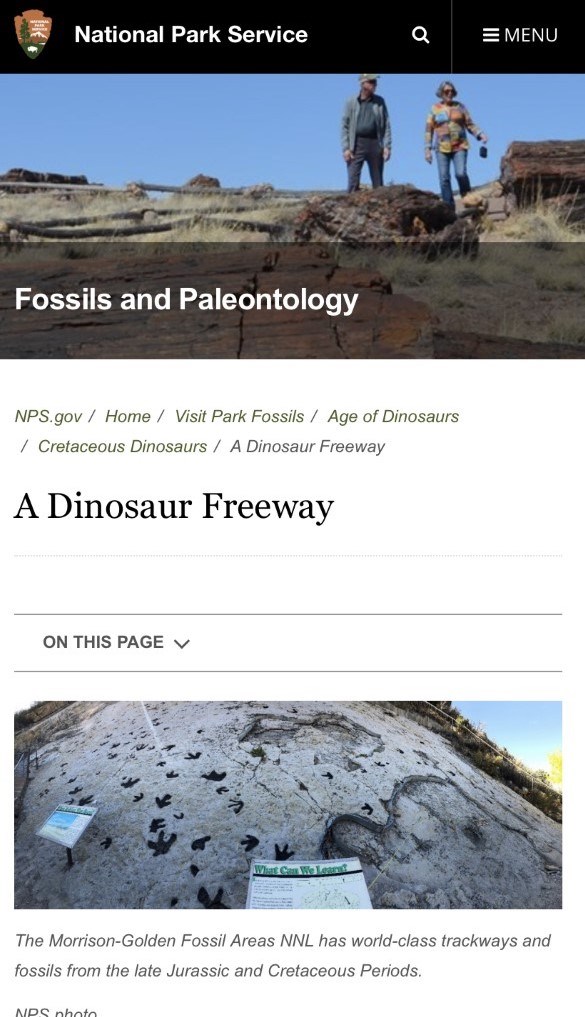 29_Fossil_website1 29_Fossil_website1