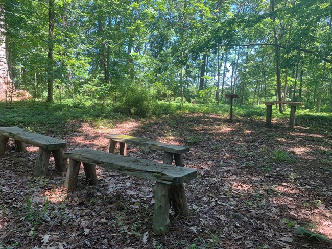 Three benches in a clearing in the woods in front of a podium and table.