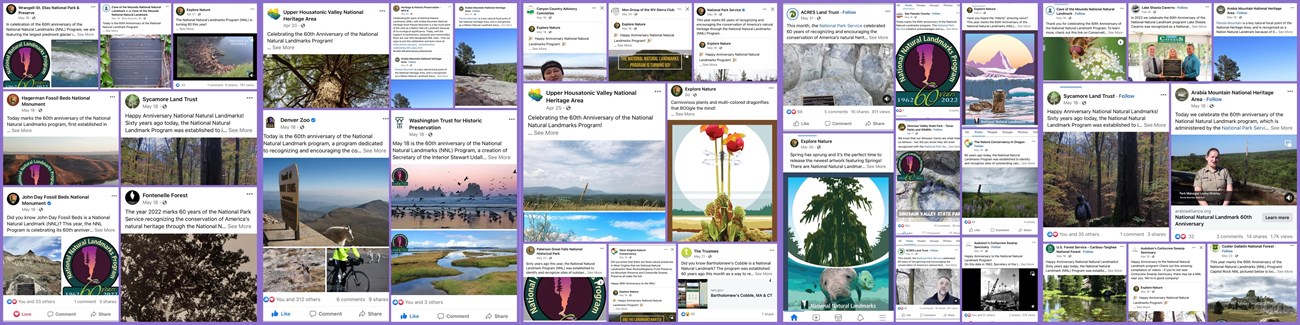 collage of social media posts