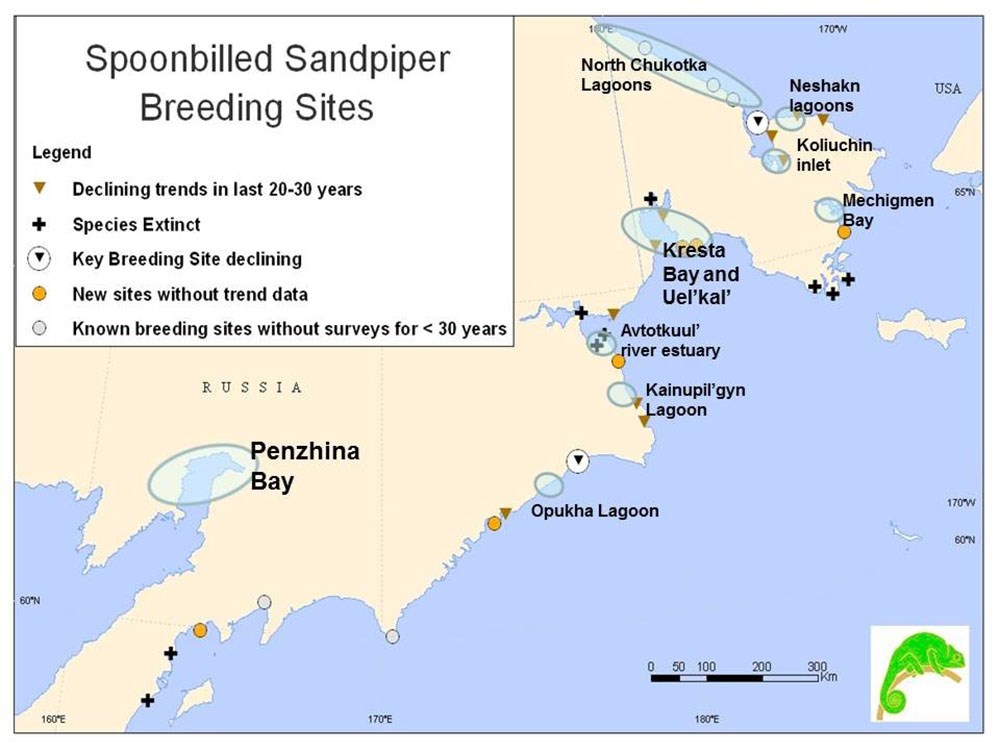Map of eastern Russia and sandpiper habitat.