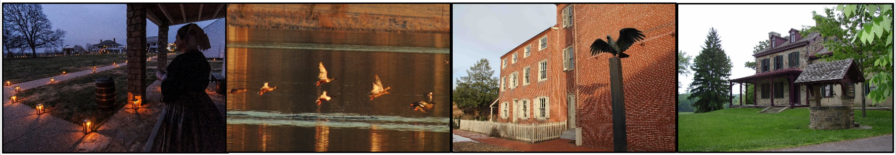 Row of photos including a pioneer reenactor inside a fort; ducks flying over water; raven statue in front of a house; and a stone house