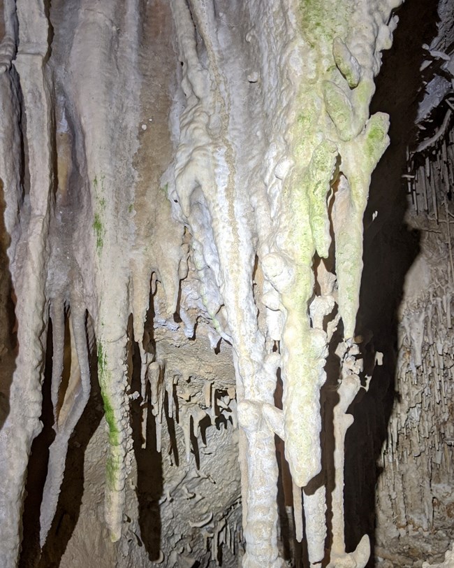 Stalactites, cave formations, discolored because of algae