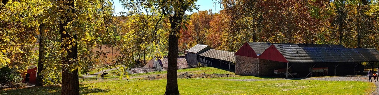 Large trees with fall foliage around the furnace Large trees with fall foliage around the furnace