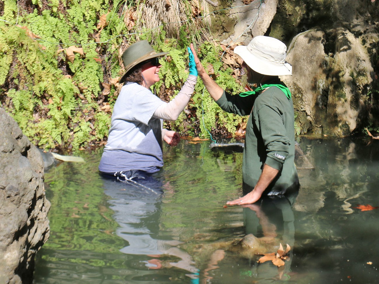 Katy and a co-worker, waist-deep in a stream pool, give each other a high five.