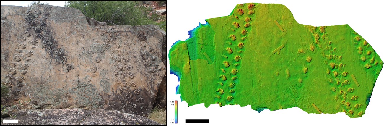 Photo of trackway on a bolder and false-color image of same trackway.