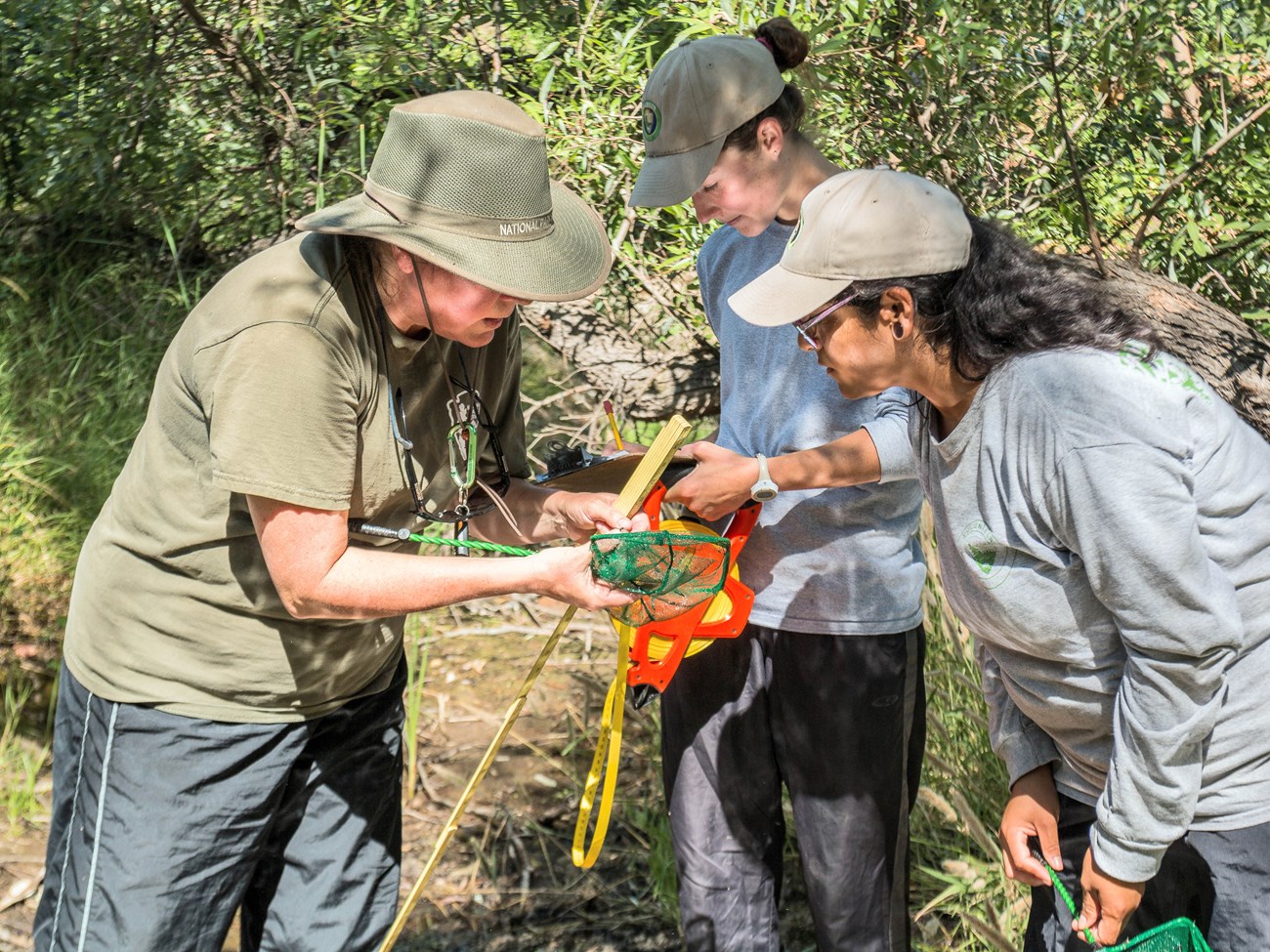 Katy and two interns examine the contents of a green dip net and record data during a stream survey.