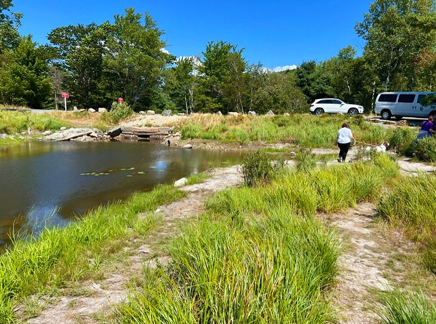 Great Meadow culvert and social trails Compacted social trails beside a waterway, along where the water passes under via a narrow stone culvert. Visitors and a dog are heading back towards cars parked along the road.