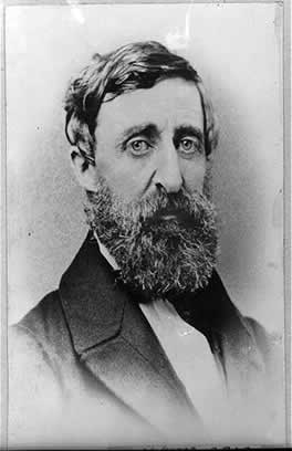 Henry David Thoreau Courtesy of the Library of Congress