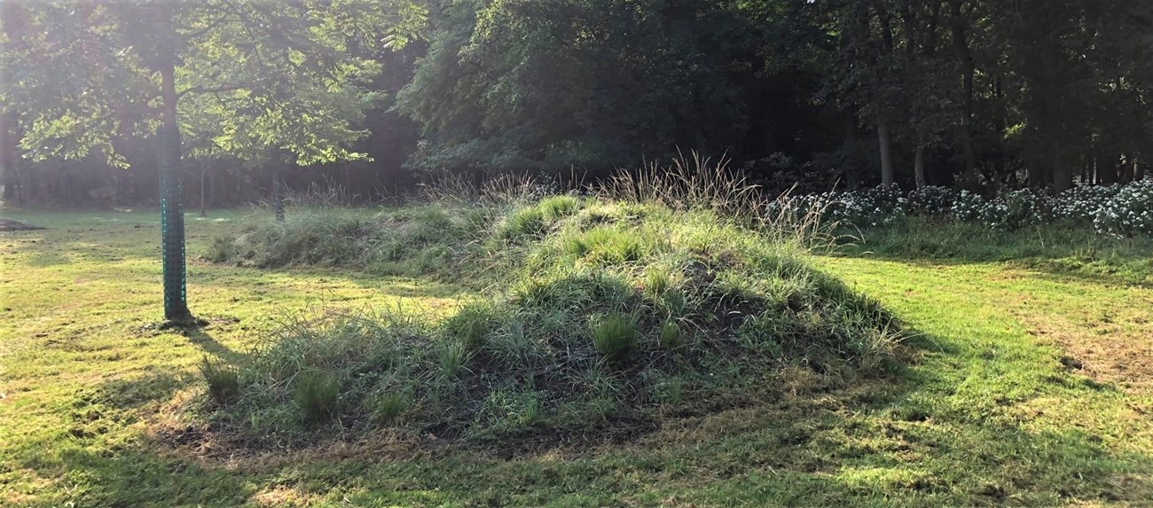 4000N Serpent Mound in park
