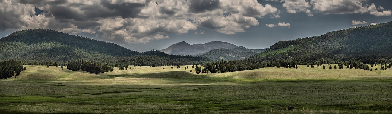 Looking across montane grasslands toward distant, forested mountains