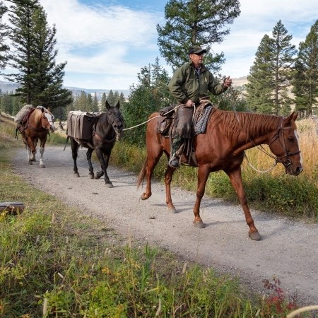 a park ranger on a horse riding down a dirt trail