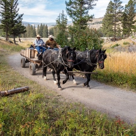 two people riding a wagon pulled by horses